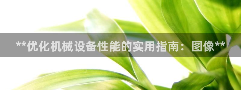 九游会网址九