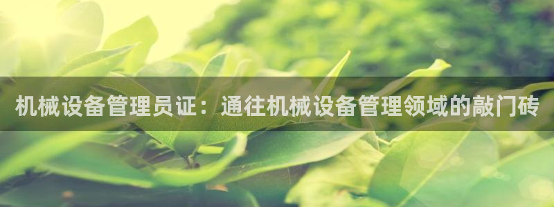 九游会是大平台吗