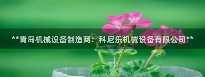 九游会首页进入