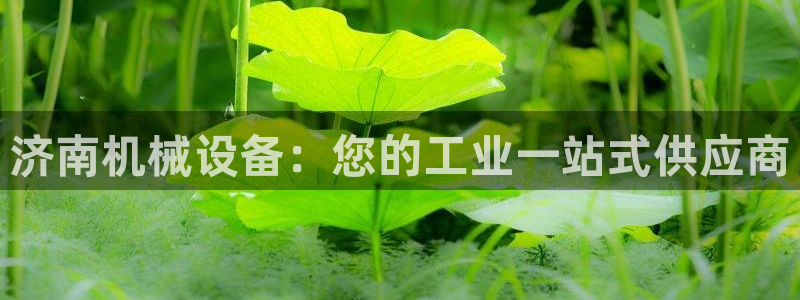 九游会网址是什么情况