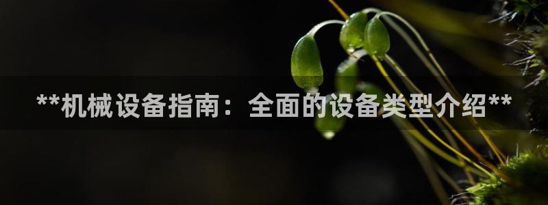 九游会官网首页