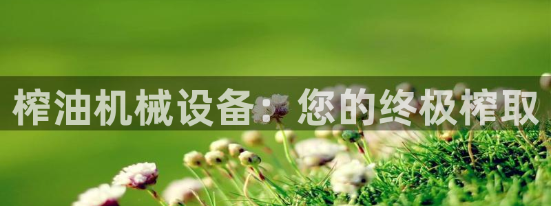 九游会网址是什么