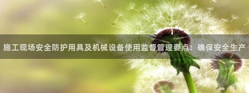j9九游会官方网站国际