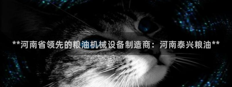 九游会国际站