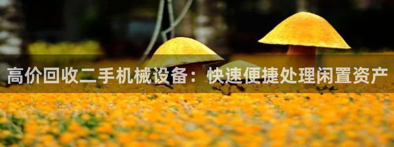 九游会登录网站