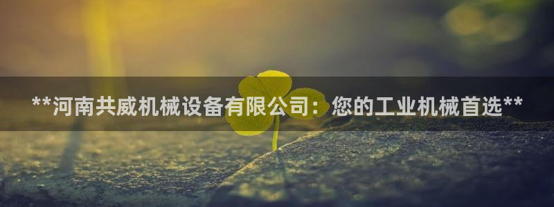 九游会官方选网址是j9.cm