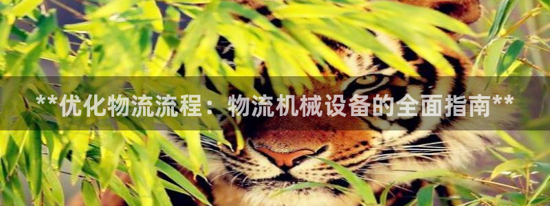 九游会官网网页版
