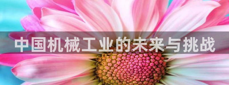 九游会官网入口