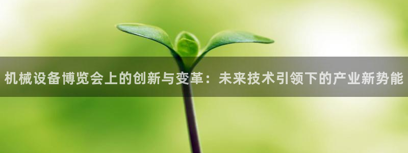 九游会usdt
