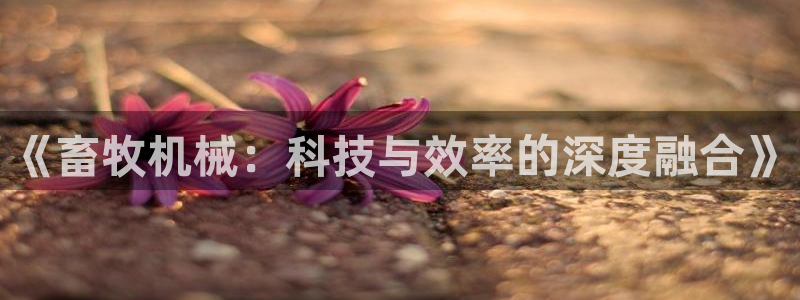 九游会员中心