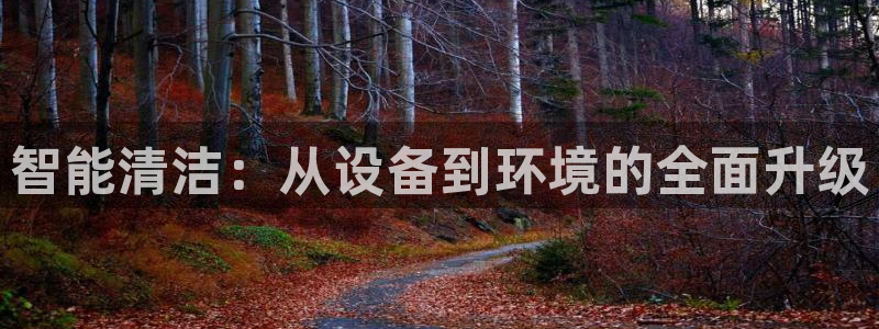 九游会进不去了