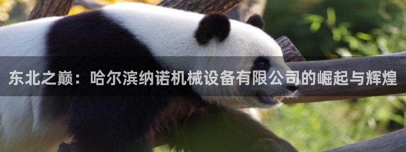 九游会最新网站