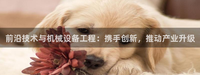 j9九游会在线登录