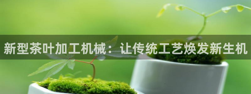 j9363九游会首页