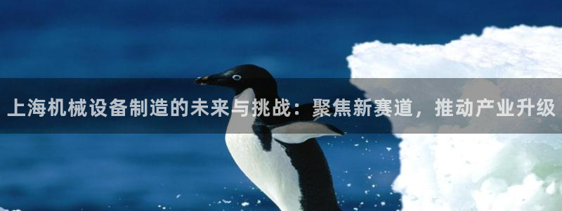 九游会app官方下载