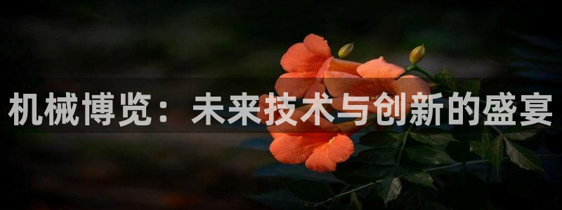 九游会登录网址