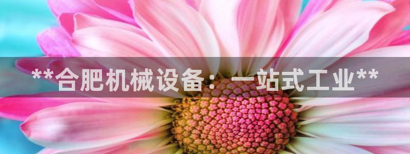 ag九游会登录中心