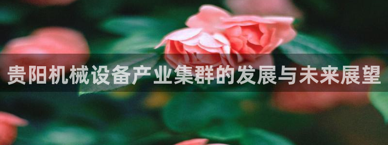 九游会视讯网站：贵阳